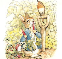 Mount Isa Civic Centre - Accommodation Directory