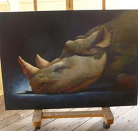 Art on Pallas - Accommodation Directory
