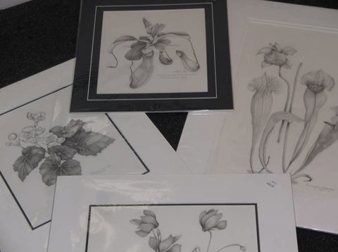 Masterpiece Framing & Gallery - Accommodation Directory 2