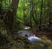 Trek North - Accommodation Directory