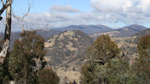 Mt Tennent - Accommodation Directory 0