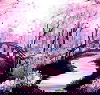 Pink Forest - Boardwalk Bar 4.00-6.00pm - Accommodation Directory