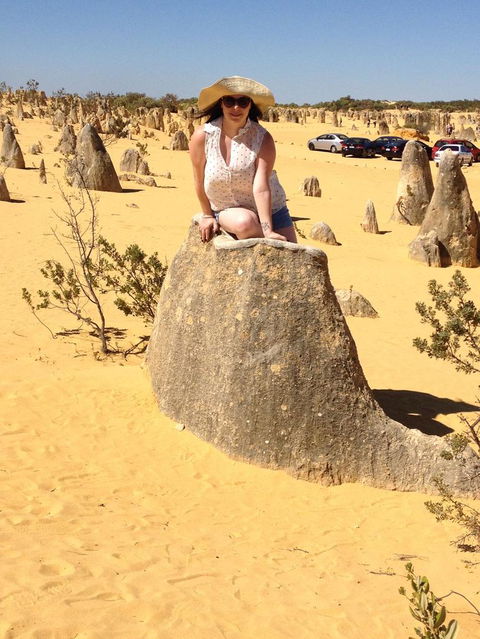 Pinnacles Desert, Koalas And Sandboarding 4WD Day Tour From Perth - Accommodation Directory 18