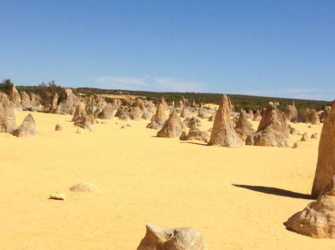 Pinnacles Desert, Koalas And Sandboarding 4WD Day Tour From Perth - Accommodation Directory 15