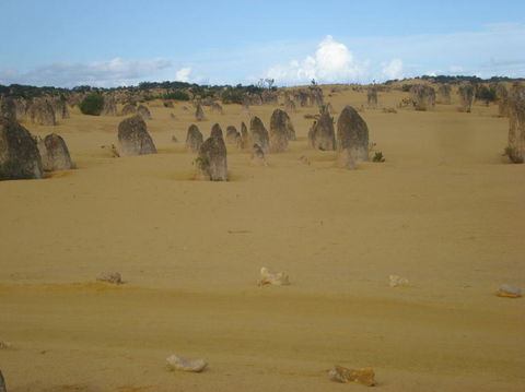Pinnacles Desert, Koalas And Sandboarding 4WD Day Tour From Perth - Accommodation Directory 23