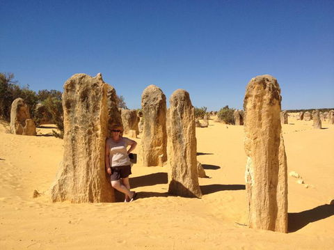 Pinnacles Desert, Koalas And Sandboarding 4WD Day Tour From Perth - Accommodation Directory 17