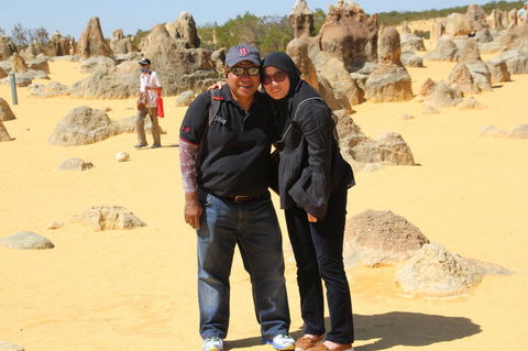 Pinnacles Desert, Koalas And Sandboarding 4WD Day Tour From Perth - Accommodation Directory 12