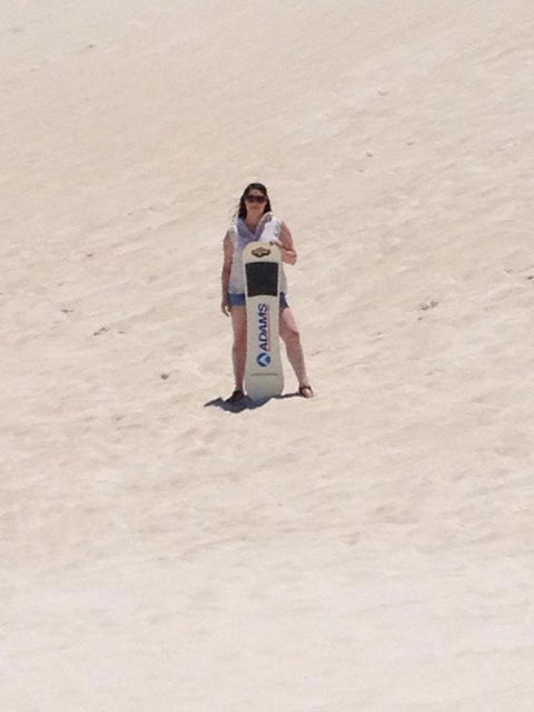 Pinnacles Desert, Koalas And Sandboarding 4WD Day Tour From Perth - Accommodation Directory 21