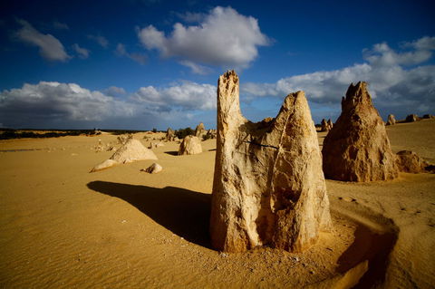 Pinnacles Desert, Koalas And Sandboarding 4WD Day Tour From Perth - Accommodation Directory 6