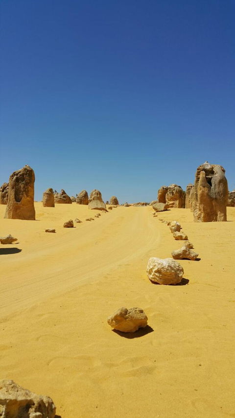 Pinnacles Desert, Koalas And Sandboarding 4WD Day Tour From Perth - Accommodation Directory 3