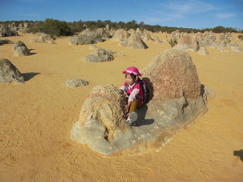 Pinnacles Desert, Koalas And Sandboarding 4WD Day Tour From Perth - Accommodation Directory 7