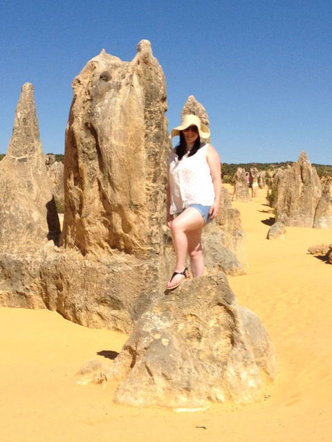 Pinnacles Desert, Koalas And Sandboarding 4WD Day Tour From Perth - Accommodation Directory 16