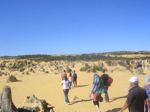 Pinnacles Desert, Koalas And Sandboarding 4WD Day Tour From Perth - Accommodation Directory 25