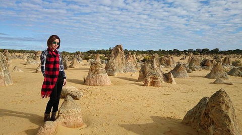 Pinnacles Desert, Koalas And Sandboarding 4WD Day Tour From Perth - Accommodation Directory 13
