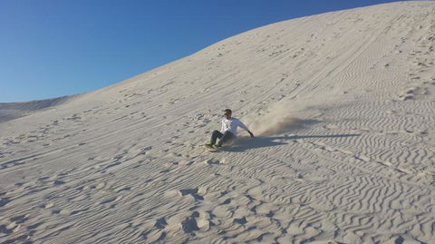 Pinnacles Desert, Koalas And Sandboarding 4WD Day Tour From Perth - Accommodation Directory 14