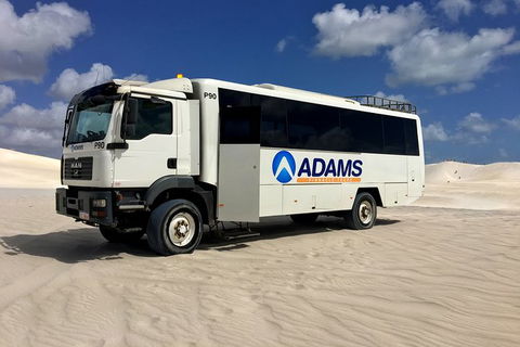 Pinnacles Desert, Koalas And Sandboarding 4WD Day Tour From Perth - Accommodation Directory 28