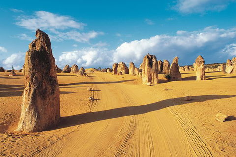 Pinnacles Desert, Koalas And Sandboarding 4WD Day Tour From Perth - Accommodation Directory 26