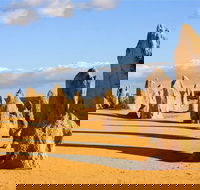 Pinnacles and Yanchep National Park Day Trip from Perth Including Lobster Shack Lunch and Sandboarding - Accommodation Directory