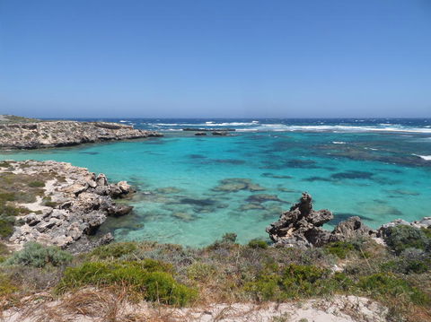 Rottnest Island Tour From Perth Or Fremantle Including Adventure Speed Boat Ride - Accommodation Directory 3