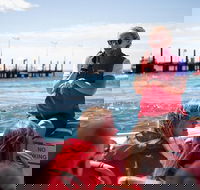Rottnest Island Tour from Perth or Fremantle including Adventure Speed Boat Ride - Accommodation Directory