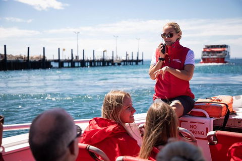 Rottnest Island Tour From Perth Or Fremantle Including Adventure Speed Boat Ride - Accommodation Directory 0