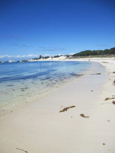 Rottnest Island Tour From Perth Or Fremantle Including Adventure Speed Boat Ride - Accommodation Directory 4