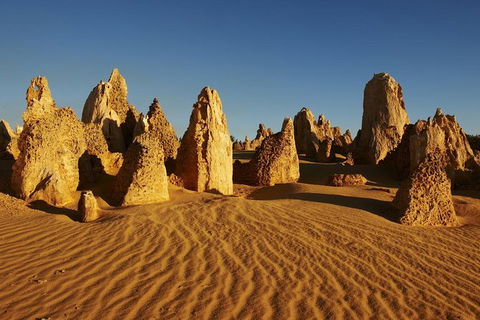 Pinnacles Day Trip From Perth Including Yanchep National Park - Accommodation Directory 0
