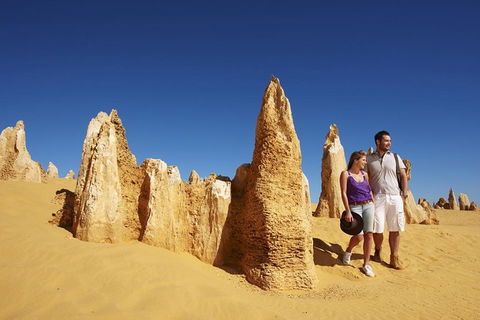 Pinnacles Day Trip From Perth Including Yanchep National Park - Accommodation Directory 1