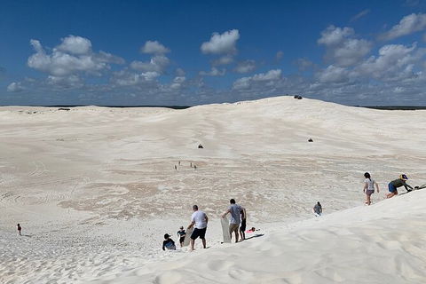 Pinnacles Day Trip From Perth Including Yanchep National Park - Accommodation Directory 3