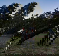 Stargazing Busselton with Mobile Observatory - Accommodation Directory