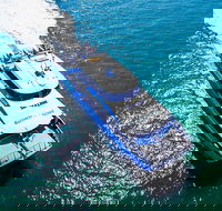 Rottnest Island Roundtrip Ferry from Perth with Transfer - Accommodation Directory