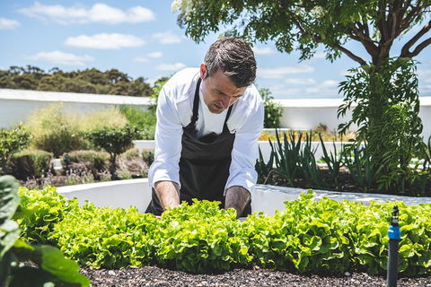 Voyager Estate: Private Winery Tasting Tour In Margaret River With Lunch - Accommodation Directory 8
