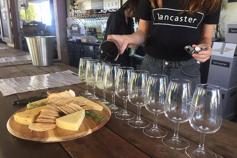 Half Day Swan Valley Wine Tour - Accommodation Directory 1
