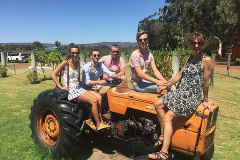 Half Day Swan Valley Wine Tour - Accommodation Directory 6