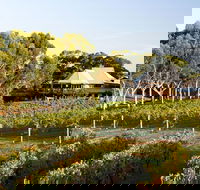 Margaret River and Geographe Bay Region Day Trip from Perth - Accommodation Directory