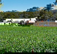Upper Reach Winery Swan Valley Winery and Vineyard Tour - Accommodation Directory