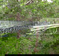 Albany Southwest Wilderness Day Tour - Fly From Perth - Accommodation Directory