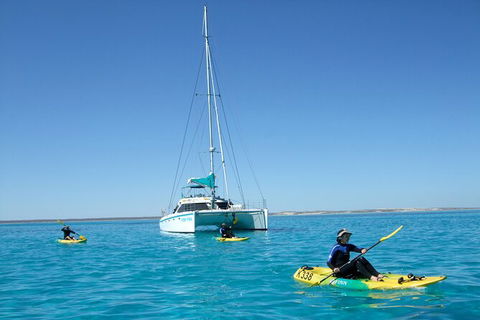 3 Night Ningaloo Reef Snorkel And Dive Getaway From Coral Bay - Accommodation Directory 7