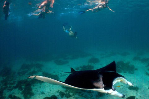 3 Night Ningaloo Reef Snorkel And Dive Getaway From Coral Bay - Accommodation Directory 6