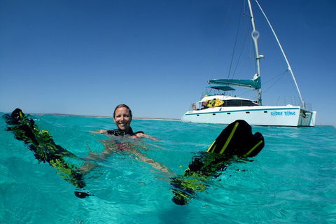 3 Night Ningaloo Reef Snorkel And Dive Getaway From Coral Bay - Accommodation Directory 5
