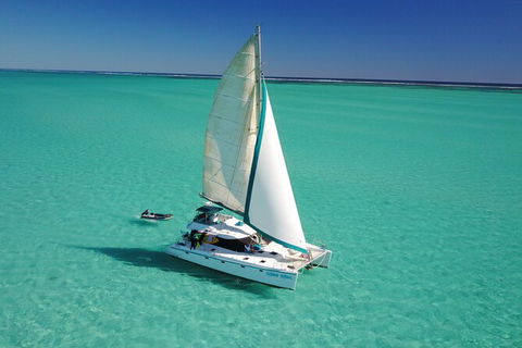 3 Night Ningaloo Reef Snorkel And Dive Getaway From Coral Bay - Accommodation Directory 4