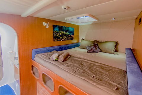 3 Night Ningaloo Reef Snorkel And Dive Getaway From Coral Bay - Accommodation Directory 8