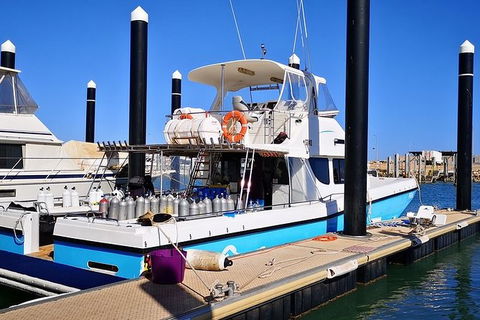 Muiron Island Dive & Snorkel Tour - Accommodation Directory 7
