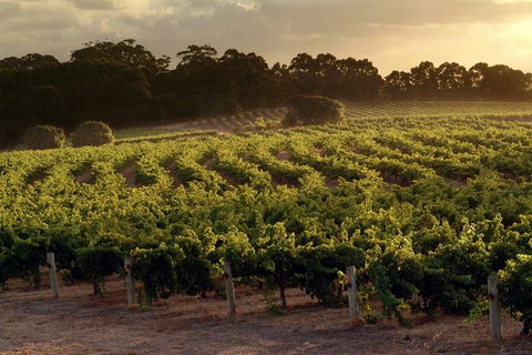 Flight To Leeuwin Winery For Lunch - Accommodation Directory 5