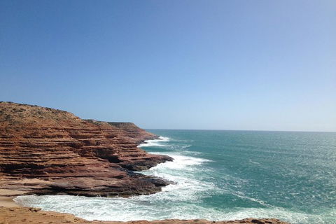 Kalbarri, Pink Lake And Abrolhos Islands Nature Tour - Accommodation Directory 0
