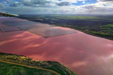 Kalbarri, Pink Lake And Abrolhos Islands Nature Tour - Accommodation Directory 3