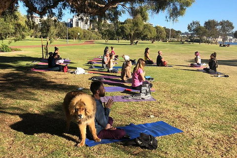 Yoga In The Park - Accommodation Directory 6