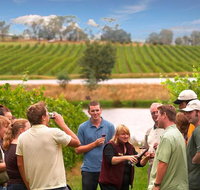 Yarra Valley Wine and Winery Tour from Melbourne - Accommodation Directory