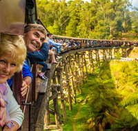 Puffing Billy Steam Train  Healesville Wildlife Sanctuary Tour From Melbourne - Accommodation Directory