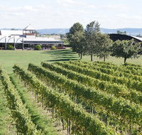 Puffing Billy Train and Yarra Valley Food and Wine Day Trip from Melbourne - Accommodation Directory